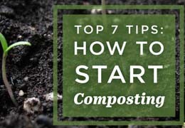 Los 7 mejores consejos para comenzar a compostar